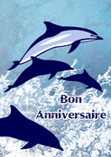 Dauphins en f&ecirc;te pour un joyeux anniversaire